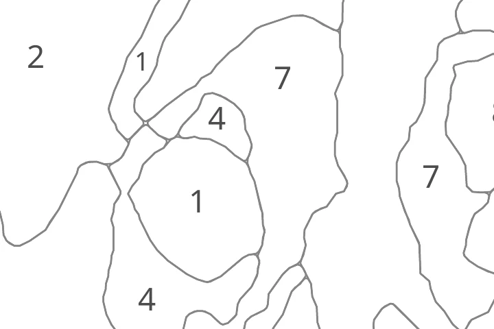 Close-up of the printed 8 by 10 outline near the puppy's eye: smooth grey lines and a clear number in every area