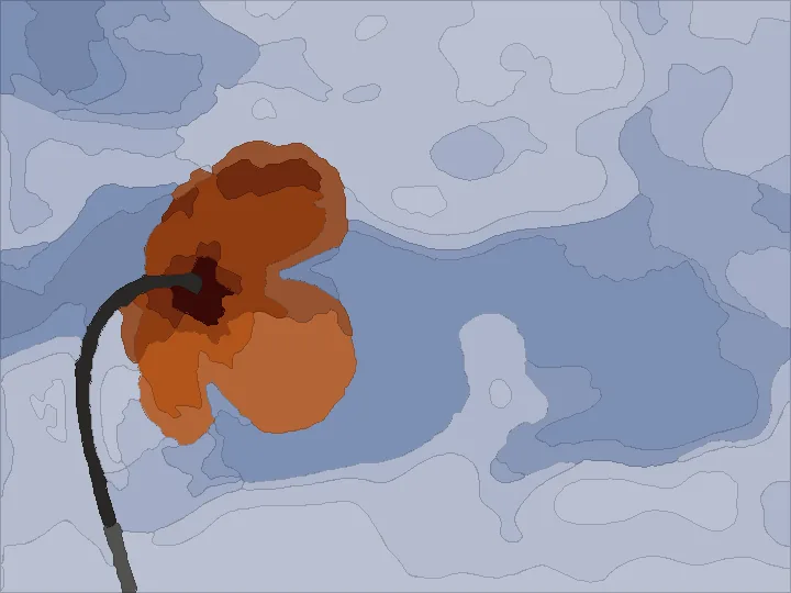 The poppy as a paint-by-number pattern painted in its colours