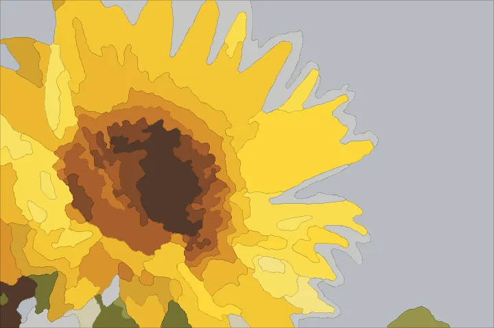 The sunflower as a paint-by-number pattern painted in its colours